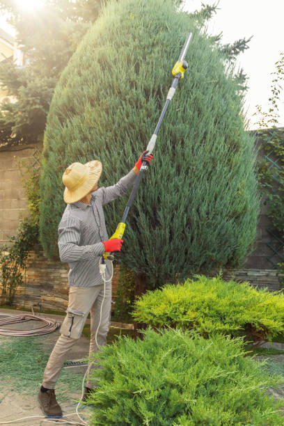 Lawn Maintenance Plans in Bergenfield, NJ
